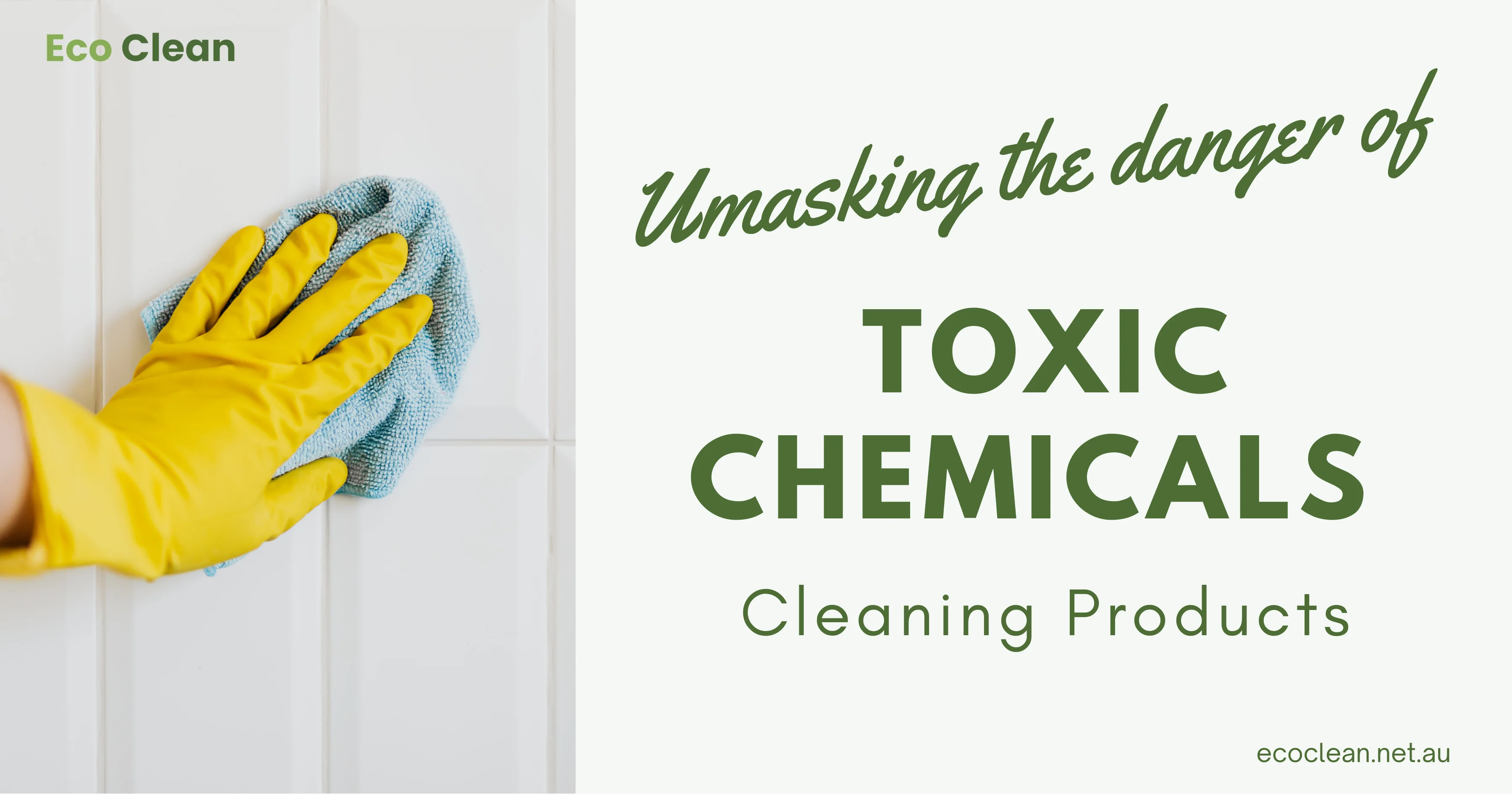 Eco Clean (7)